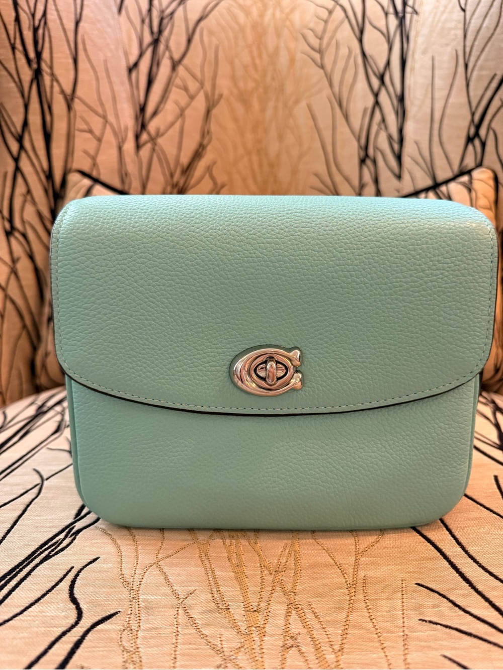 Coach Cassie 19 Faded Blue Tiffany Blue Leather Bag with SHW